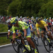 Celá Tour de France a US Open naživo!
